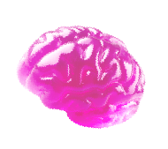 brain-jelly