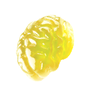 brain-jelly