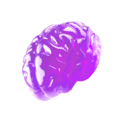 brain-jelly