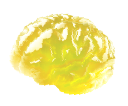 brain-jelly