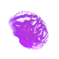 brain-jelly