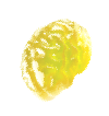 brain-jelly