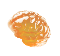 brain-jelly