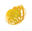 brain-jelly