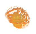 brain-jelly