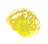brain-jelly